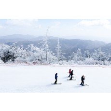 江原道龙平滑雪度假村2天1晚滑雪旅游 [CB-05]