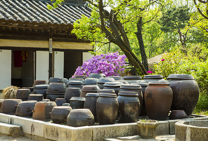 水原华城+民俗村旅游 [CS-04]