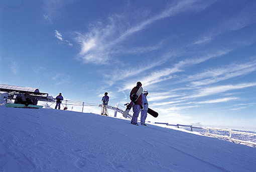 Bears Town Ski Resort Snow Sled Experience [CB-01]