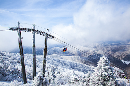 Yongpyung Ski Resort All-day Tour [CB-04]