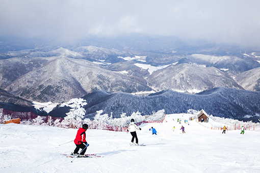 Yongpyung Ski Resort All-day Tour [CB-04]