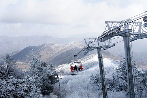 Yongpyung Ski Resort All-day Tour [CB-04]