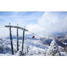 Yongpyung Ski Resort All-day Tour [CB-04]