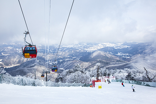 Gangwon-do Yongpyeong Ski Resort 1 Night 2 Days Ski Tour [CB-05]