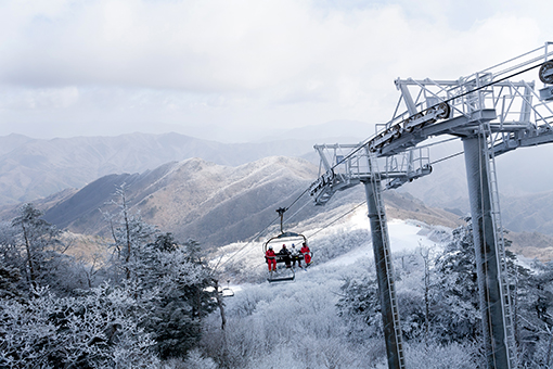 Gangwon-do Yongpyeong Ski Resort 1 Night 2 Days Ski Tour [CB-05]