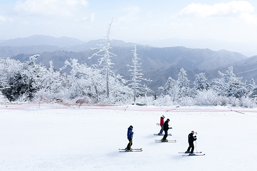 Gangwon-do Yongpyeong Ski Resort 1 Night 2 Days Ski Tour [CB-05]