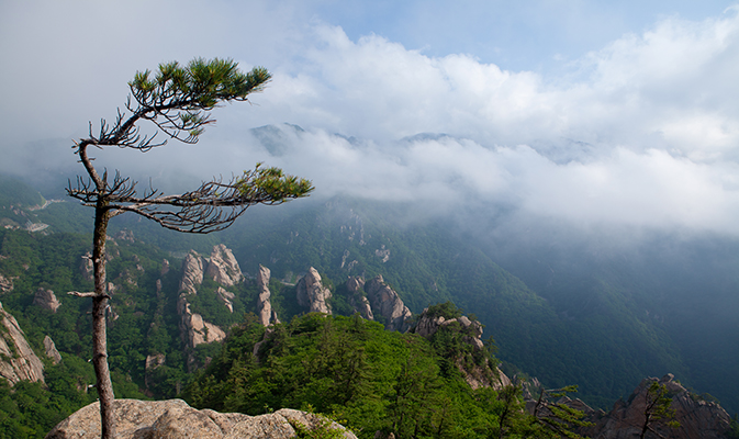 Mt. Sorak 1 night 2 days tour [CL-02]