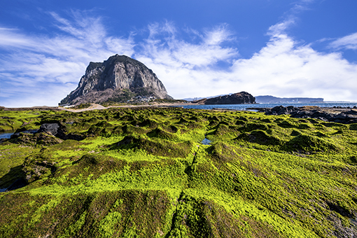 Day tour in eastern Jeju area [CJ-03]