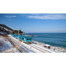 Gangwon-do Gangneung & Daegwallyeong 1 night 2 days tour [CL-03]