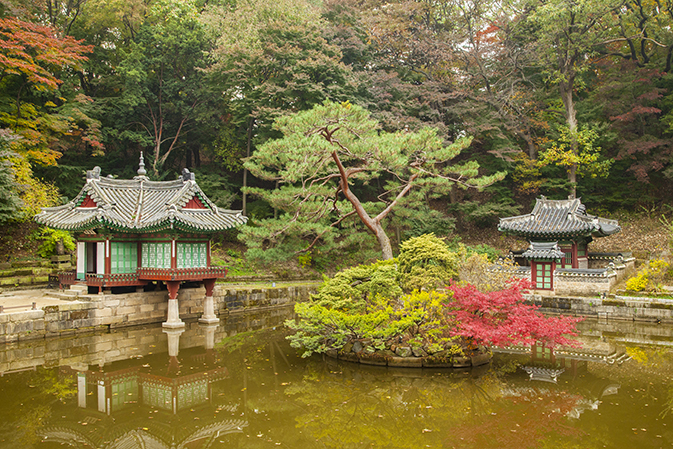 Afternoon Changdeokgung Palace + Bukchon Hanok Village Tour [CV-02]