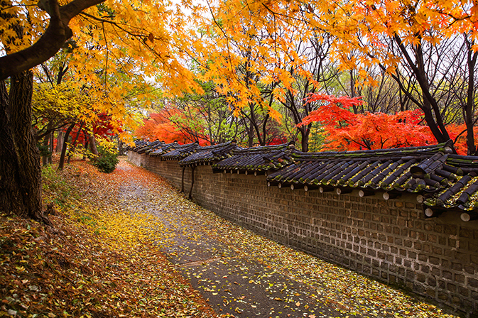 Afternoon Changdeokgung Palace + Bukchon Hanok Village Tour [CV-02]