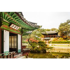 Afternoon Changdeokgung Palace + Bukchon Hanok Village Tour [CV-02]