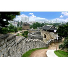 Suwon Hwaseong History Morning Tour [CS-03]