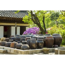 Suwon Hwaseong + Folk Village Tour [CS-04]