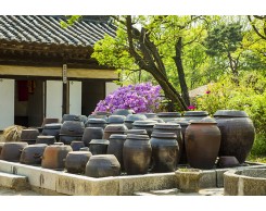 Suwon Hwaseong + Folk Village Tour [CS-04]