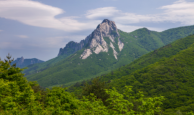 설악산 당일투어 [CL-01]